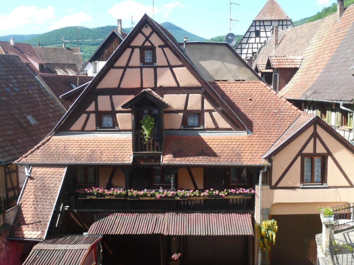 Apartamento Le Seigle, La Cour Des Meuniers Kaysersberg-Vignoble Exterior foto